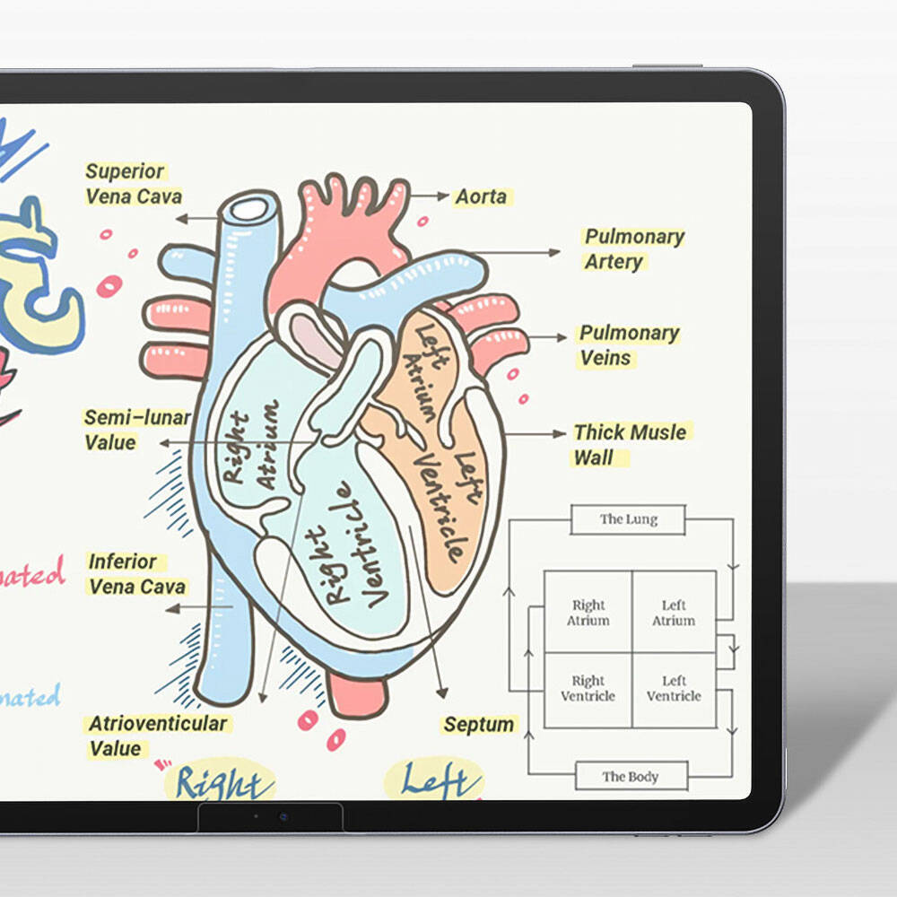 Apple iPad Pro 11 2024 Benks Mat Paper-Like Ekran Koruyucu - 8