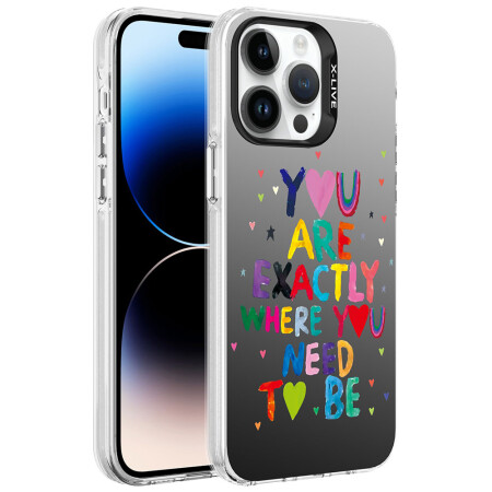 Apple iPhone 14 Pro Kılıf Desenli Zore Silver Sert Kapak - 1