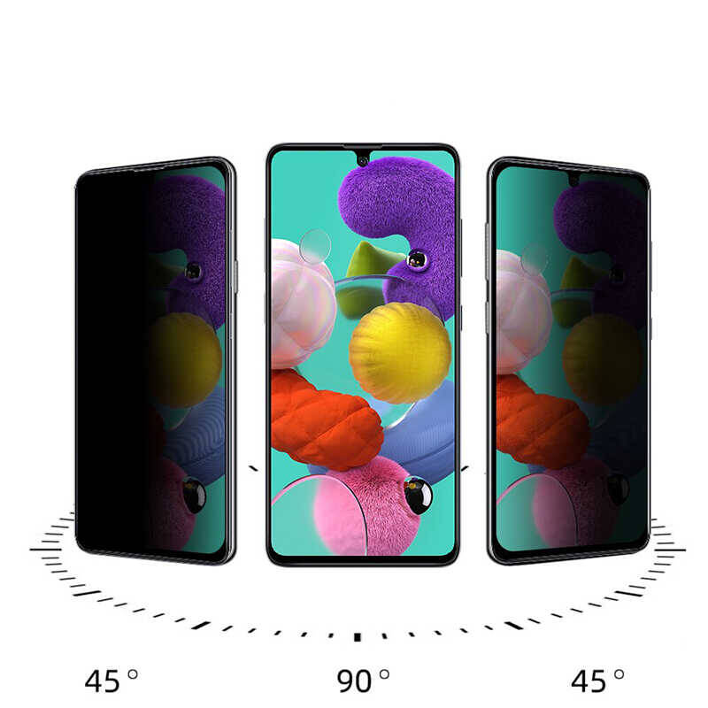 Omix X300 Zore New 5D Privacy Temperli Ekran Koruyucu - 13