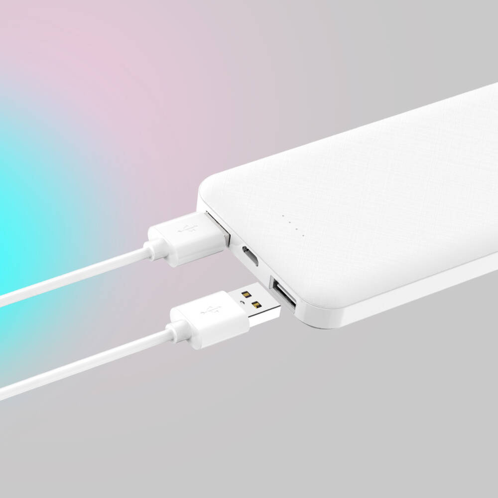 Xipin PX102 Hızlı Şarj Özellikli LED Göstergeli Dual USB Taşınabilir Akıllı Powerbank 10000mAh - 10